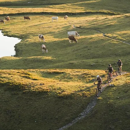 Apartment Niederseer By We Rent, Jokercard Included *